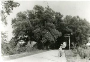 Amherst Street, circa 1900. Then known as Milford Road. The image shows a narrow road with a woman in Victorian dress. 