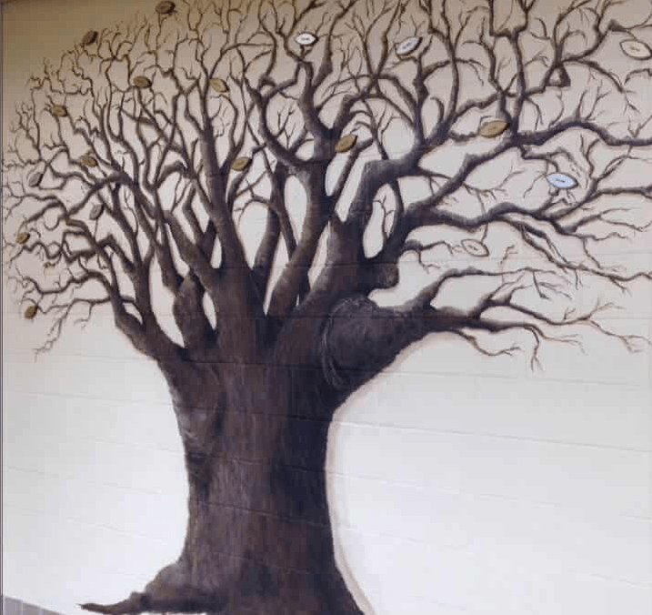 the legacy tree